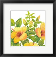 Watercolor Hibiscus I Fine Art Print