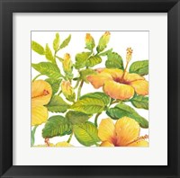Watercolor Hibiscus II Framed Print