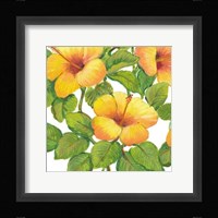 Watercolor Hibiscus III Framed Print