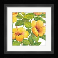 Watercolor Hibiscus IV Framed Print