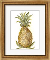 Pineapple Sketch I Fine Art Print