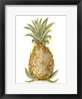 Pineapple Sketch I Framed Print
