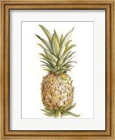 Pineapple Sketch II Fine Art Print