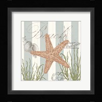 Seashells by the Seashore I Fine Art Print