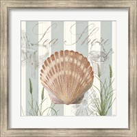 Seashells by the Seashore II Fine Art Print