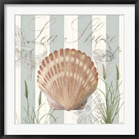 Seashells by the Seashore II Fine Art Print