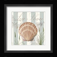 Seashells by the Seashore II Fine Art Print