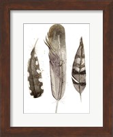 Earthtone Feathers II Fine Art Print