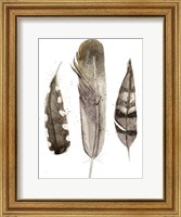 Earthtone Feathers II Fine Art Print