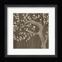 Driftwood Cherry II Framed Print