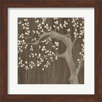Driftwood Cherry II Fine Art Print