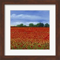 Field of Poppies II Fine Art Print