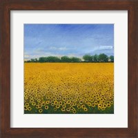 Field of Sunflowers II Fine Art Print