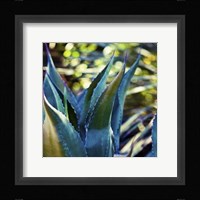 Succulent Vibes I Fine Art Print