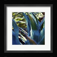 Succulent Vibes II Fine Art Print