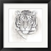 Big Cat Study II Fine Art Print