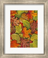 Fallen Leaves I Fine Art Print