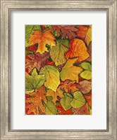 Fallen Leaves II Fine Art Print