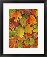 Fallen Leaves II Framed Print