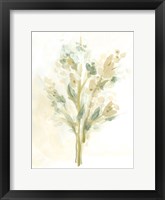 Sagebrush Bouquet I Framed Print