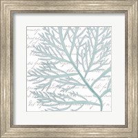 Aqua Marine VI Fine Art Print