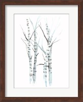 Aquarelle Birches I Fine Art Print
