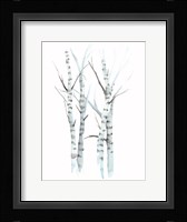 Aquarelle Birches I Framed Print