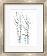 Aquarelle Birches I Fine Art Print