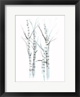 Aquarelle Birches I Framed Print