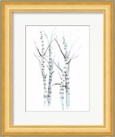 Aquarelle Birches I Fine Art Print