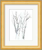 Aquarelle Birches II Fine Art Print