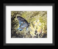 Butterfly in Nature I Fine Art Print