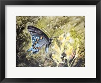 Butterfly in Nature I Fine Art Print