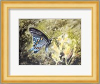 Butterfly in Nature I Fine Art Print