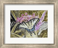 Butterfly in Nature II Fine Art Print