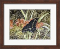 Butterfly in Nature III Fine Art Print