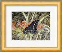 Butterfly in Nature III Fine Art Print