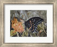 Butterfly in Nature IV Fine Art Print