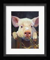 Farm Club I Framed Print