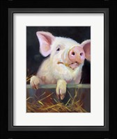 Farm Club II Framed Print