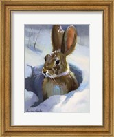 Snow Bunny Fine Art Print