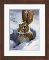 Snow Bunny Fine Art Print