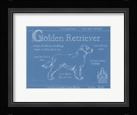 Blueprint Golden Retriever Framed Print