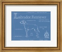 Blueprint Labrador Retriever Fine Art Print