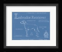 Blueprint Labrador Retriever Framed Print