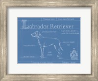 Blueprint Labrador Retriever Fine Art Print