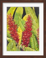 Red Tropical Flowers I Fine Art Print