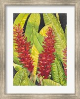 Red Tropical Flowers I Fine Art Print