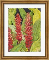 Red Tropical Flowers II Fine Art Print