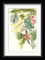Soft Tropics I Framed Print